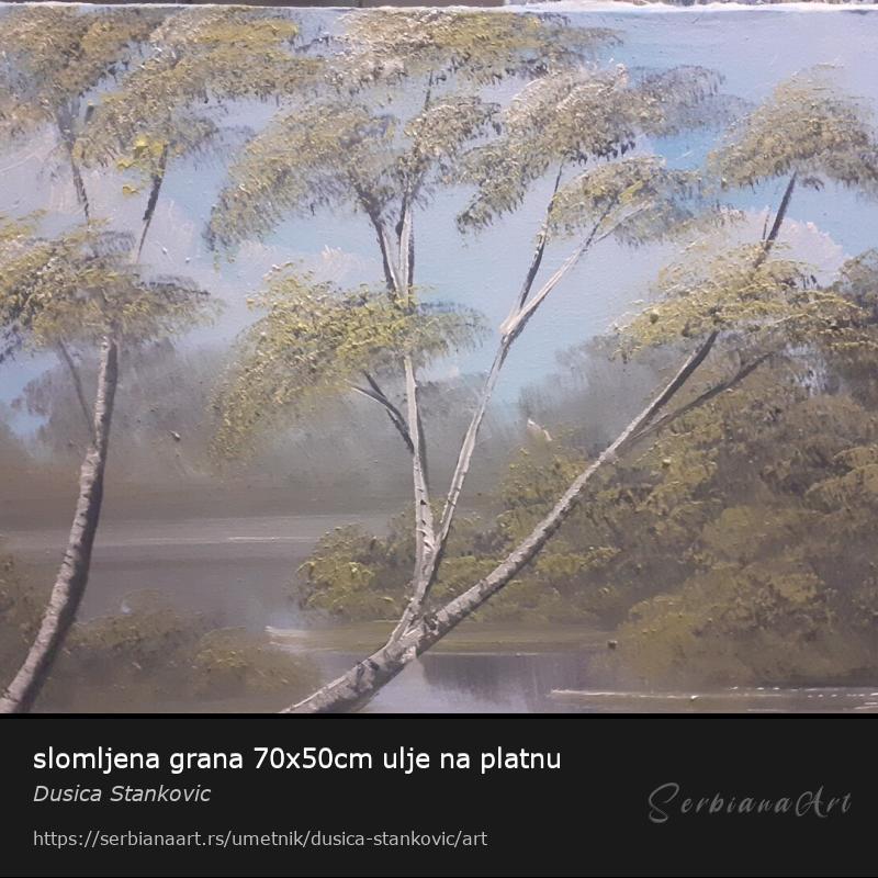 slomljena grana 70x50cm ulje na platnu, Ulje/Platno, Dusica Stankovic 