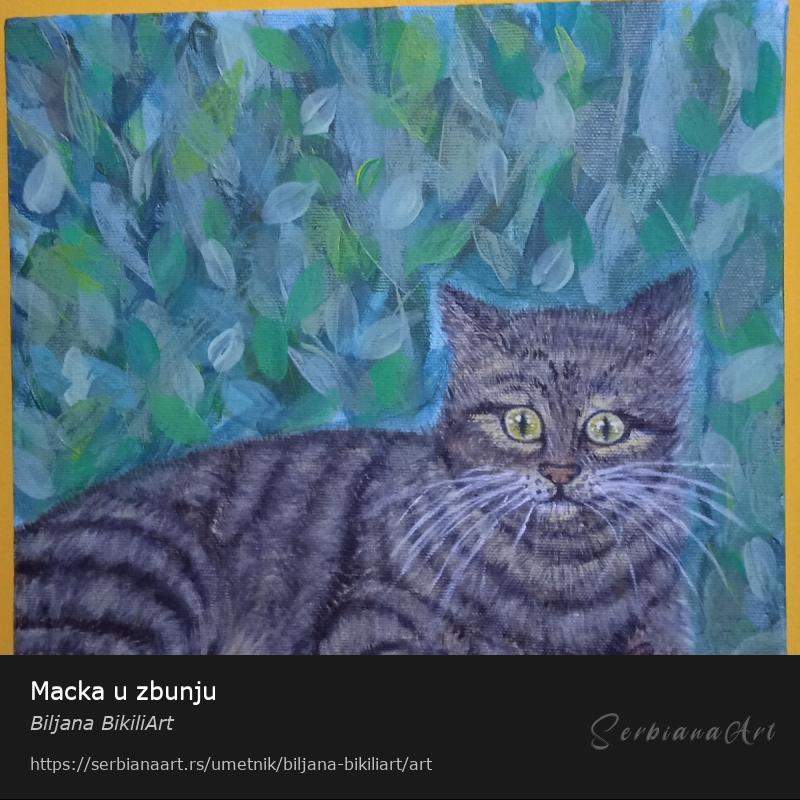 Macka u zbunju, Akrilik/Platno, Biljana BikiliArt
