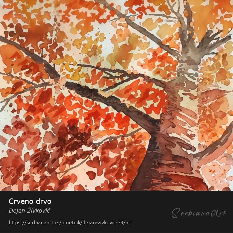 Crveno drvo, Vodene boje/Papir, Dejan Živković