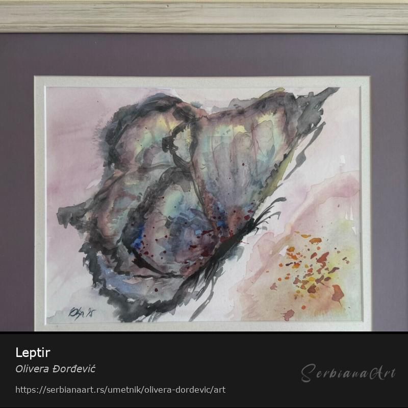 Leptir, Vodene boje/Papir, Olivera Đorđević