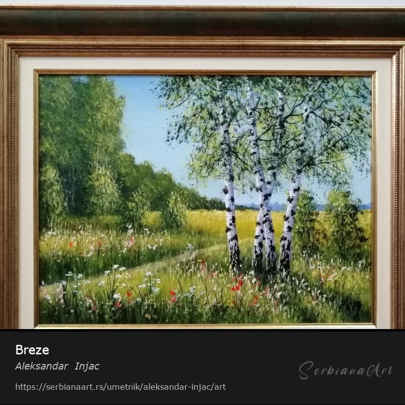Breze, Ulje/Platno, Aleksandar  Injac
