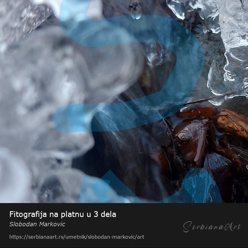 Fitografija na platnu u 3 dela, Fotografija/Platno, Slobodan Markovic