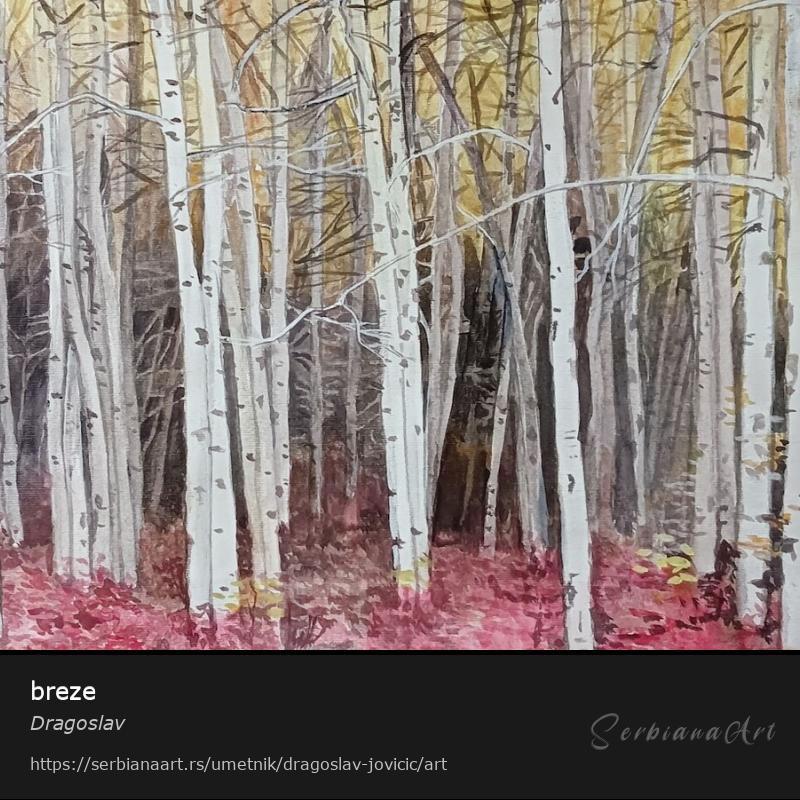 breze, Vodene boje/Papir, Dragoslav