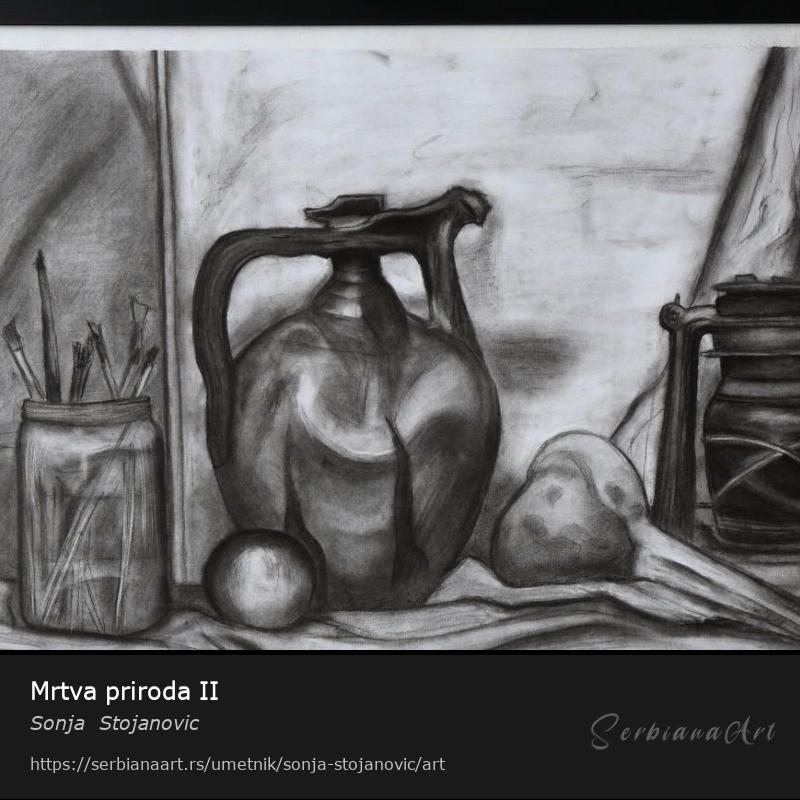 Mrtva priroda II, Ugljen/Papir, Sonja  Stojanovic