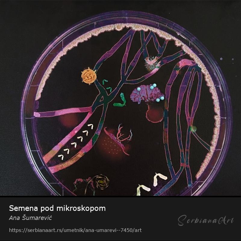 Semena pod mikroskopom, Kolaž/Kombinovano, Ana Šumarević