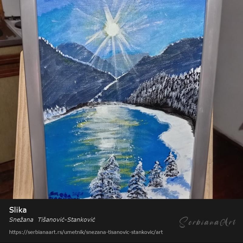 Slika, Akrilik/Platno, Snežana  Tišanović-Stanković
