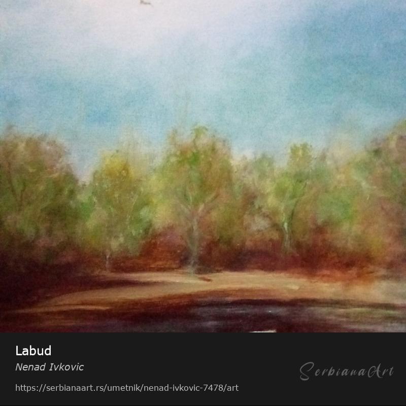 Labud, Ulje/Platno, Nenad Ivkovic