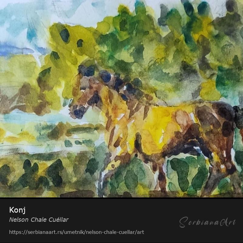 Konj, Vodene boje/Papir, Nelson Chale Cuéllar