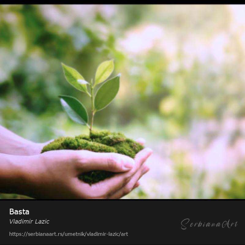 Basta, Fotografija/Neodređeno, Vladimir Lazic
