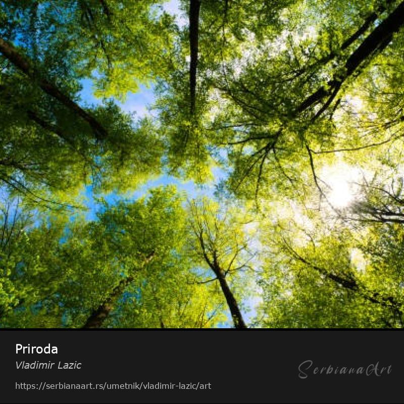 Priroda, Fotografija/Neodređeno, Vladimir Lazic