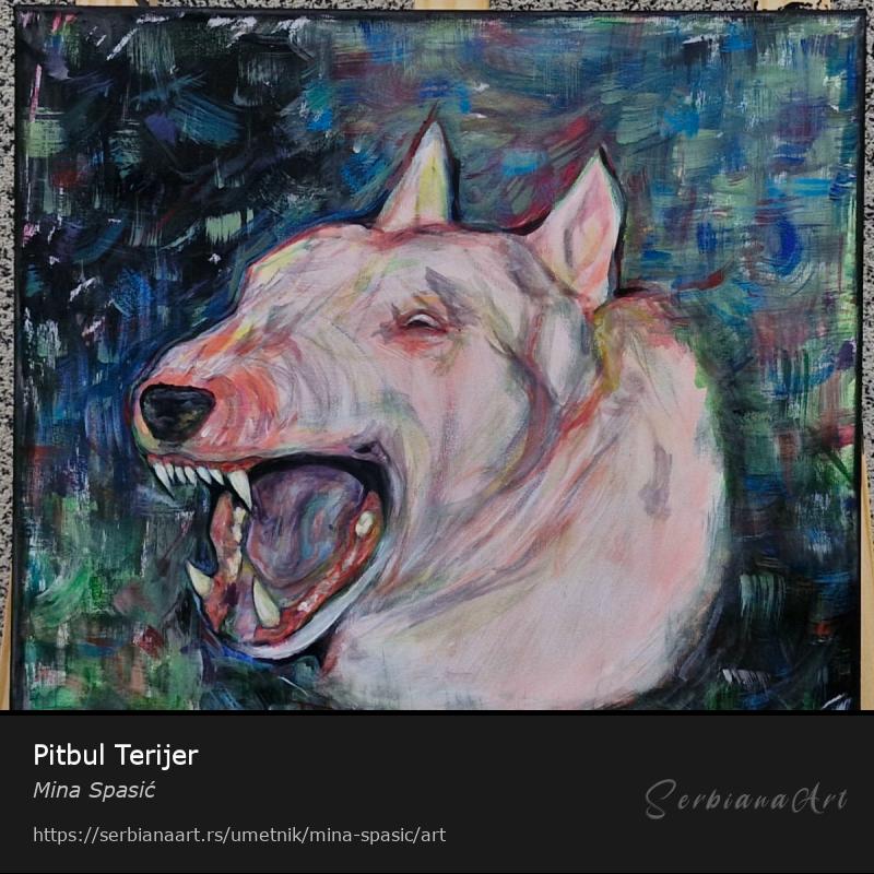 Pitbul Terijer, Tempera/Platno, Mina Spasić