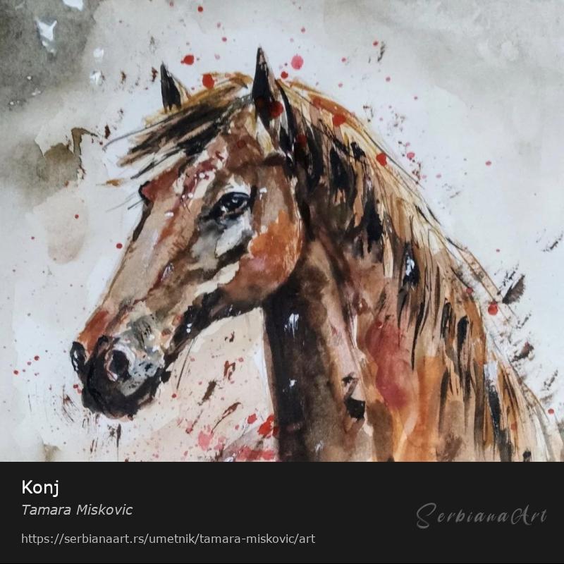 Konj, Tempera/Papir, Tamara Miskovic