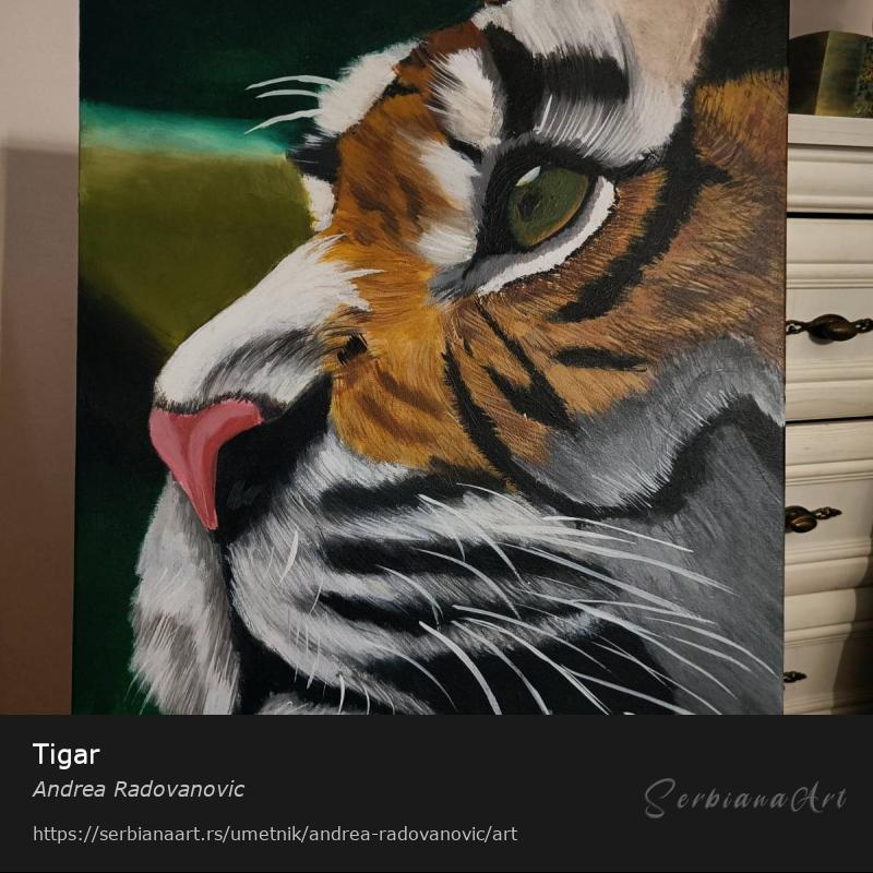 Tigar, Akrilik/Platno, Andrea Radovanovic