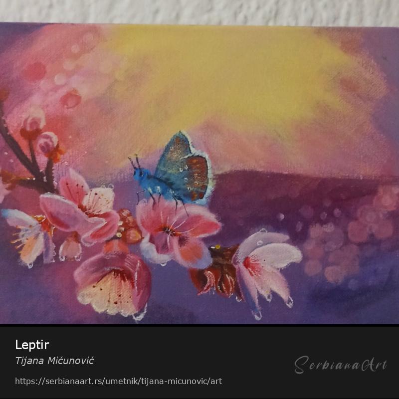 Leptir, Akrilik/Platno, Tijana Mićunović