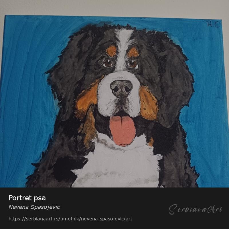 Portret psa, Akrilik/Platno, Nevena Spasojevic