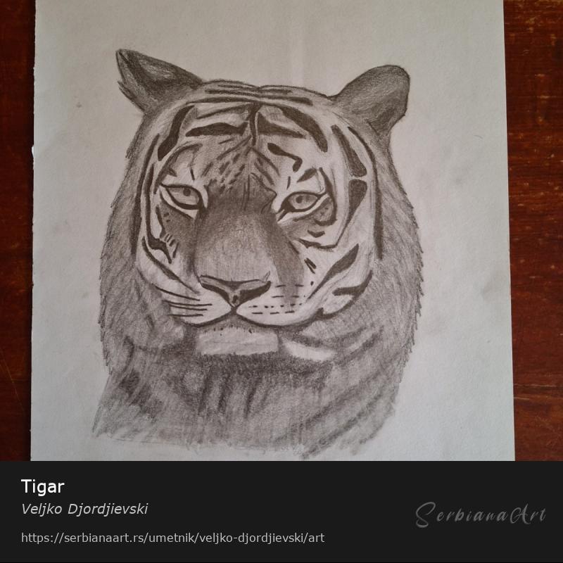 Tigar, Olovka/Papir, Veljko Djordjievski