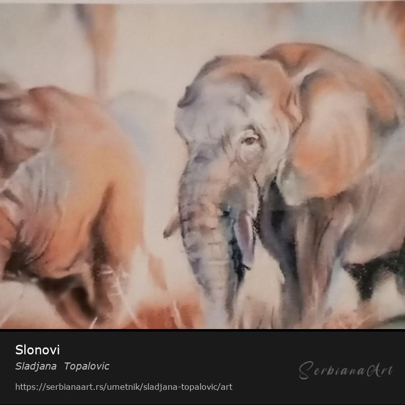 Slonovi, Pastel/Papir, Sladjana  Topalovic