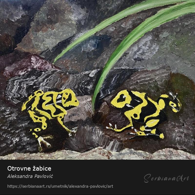 Otrovne žabice, Ulje/Platno, Aleksandra Pavlović