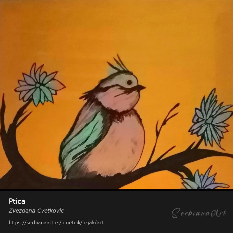 Ptica, Akrilik/Platno, Zvezdana Cvetkovic