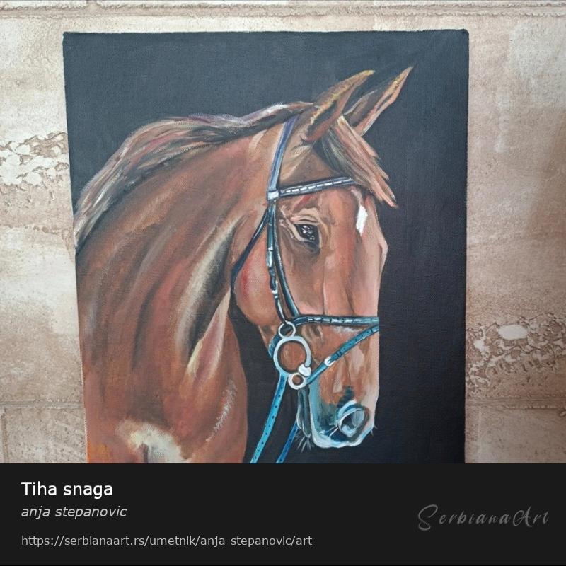 Tiha snaga, Akrilik/Platno, anja stepanovic