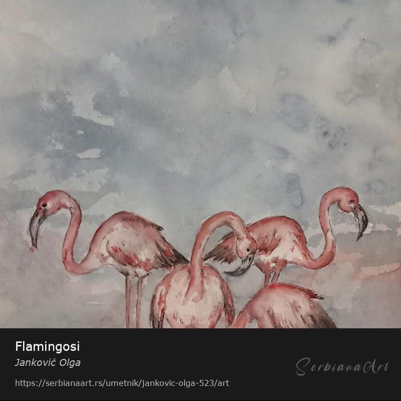 Flamingosi, Vodene boje/Papir, Janković Olga