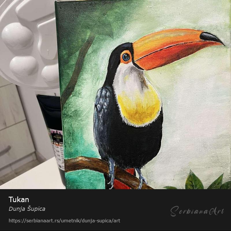 Tukan, Akrilik/Platno, Dunja Šupica