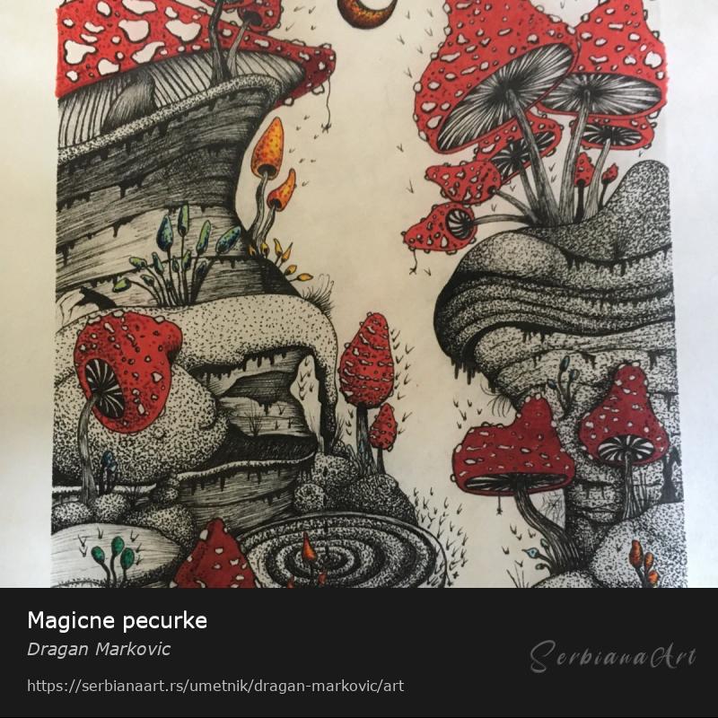 Magicne pecurke, Kombinovano/Papir, Dragan Markovic