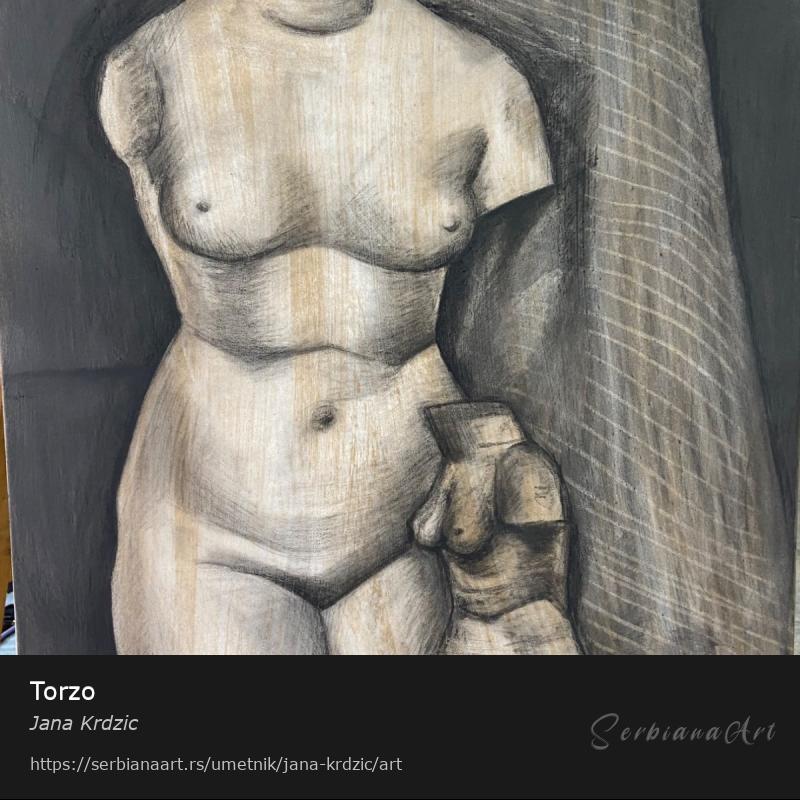 Torzo, Ugljen/Papir, Jana Krdzic