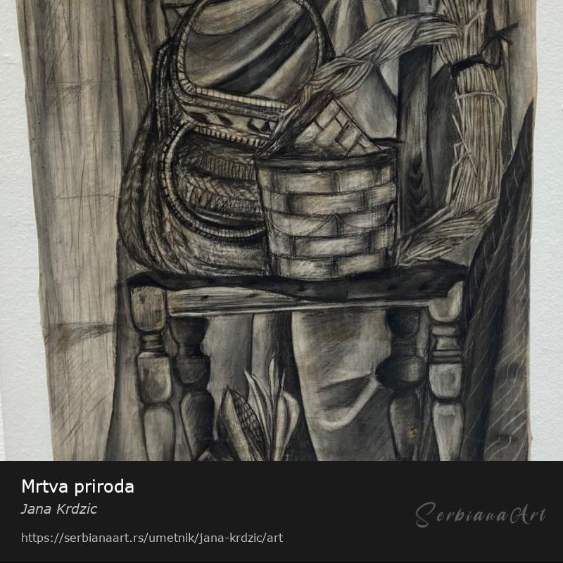 Mrtva priroda, Ugljen/Papir, Jana Krdzic