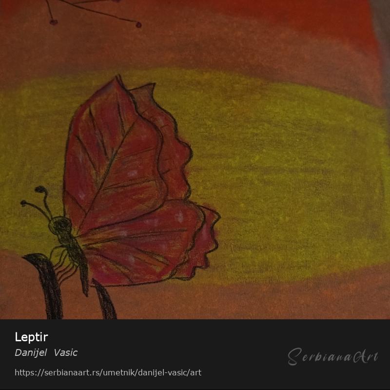 Leptir, Pastel/Papir, Danijel  Vasic