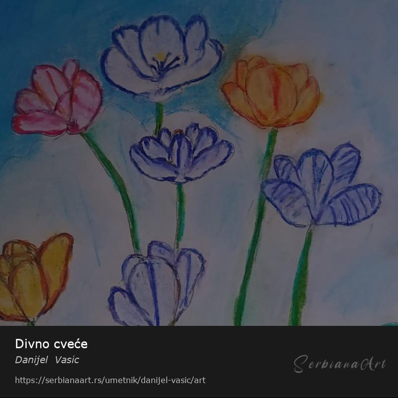 Divno cveće, Pastel/Papir, Danijel  Vasic