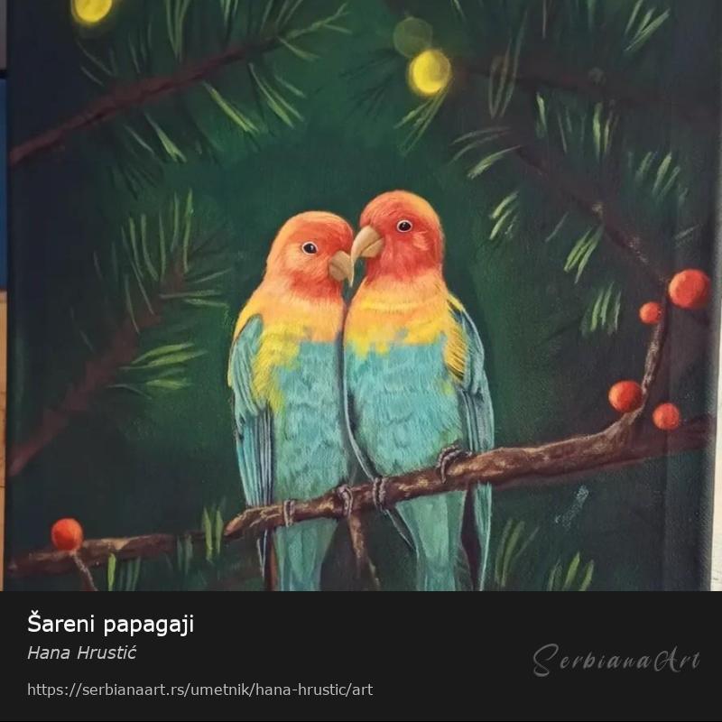 Šareni papagaji, Akrilik/Platno, Hana Hrustić