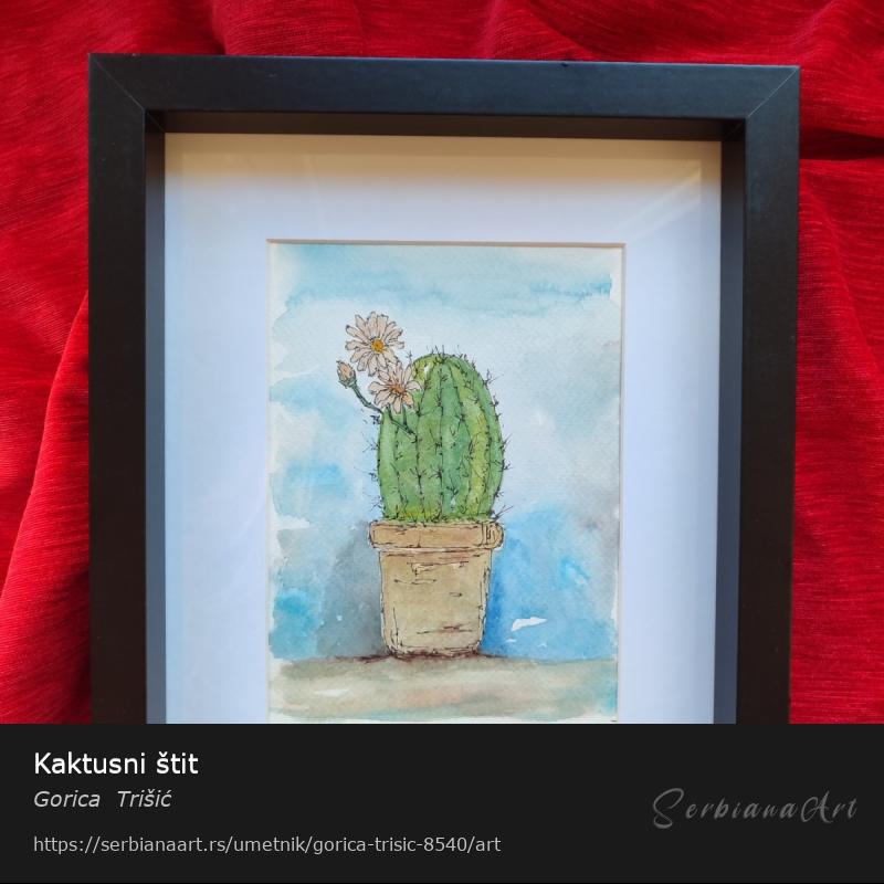Kaktusni štit, Vodene boje/Papir, Gorica  Trišić