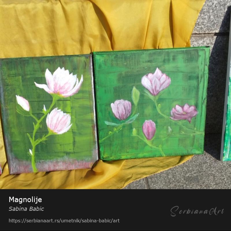 Magnolije, Akrilik/Platno, Sabina Babic