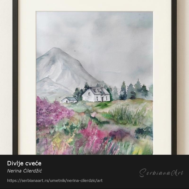 Divlje cveće, Vodene boje/Papir, Nerina Ćilerdžić