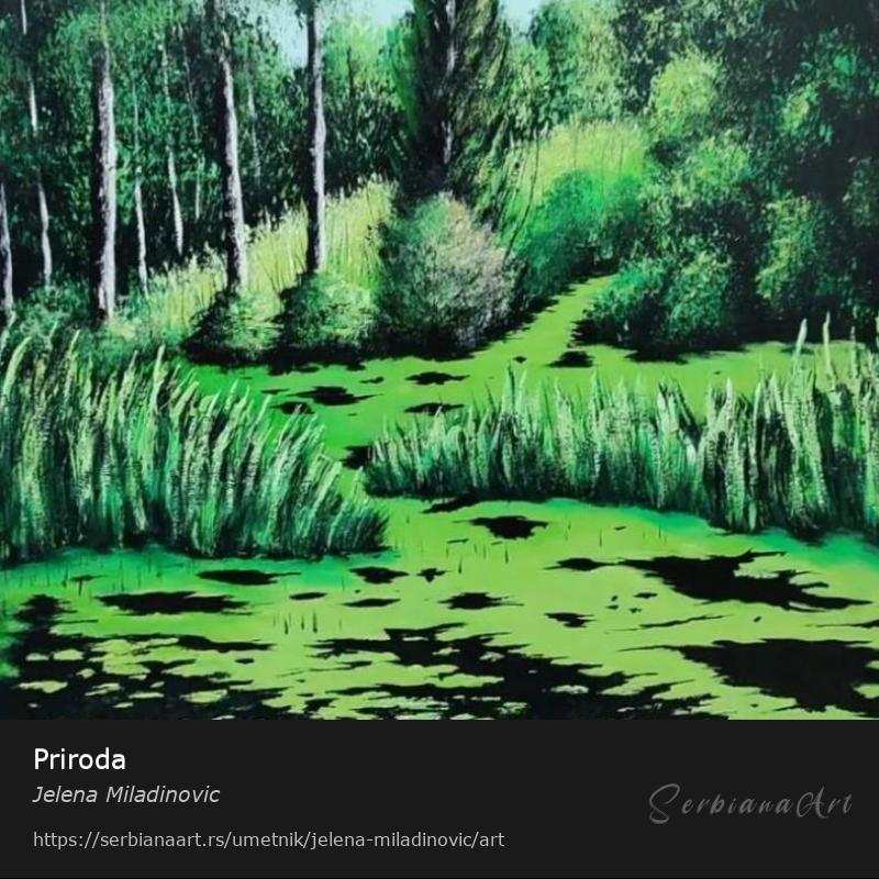Priroda, Ulje/Platno, Jelena Miladinovic