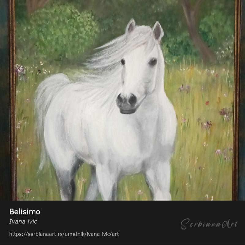 Belisimo, Akrilik/Platno, Ivana ivic