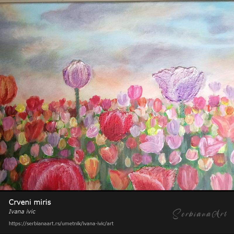 Crveni miris, Akrilik/Platno, Ivana ivic