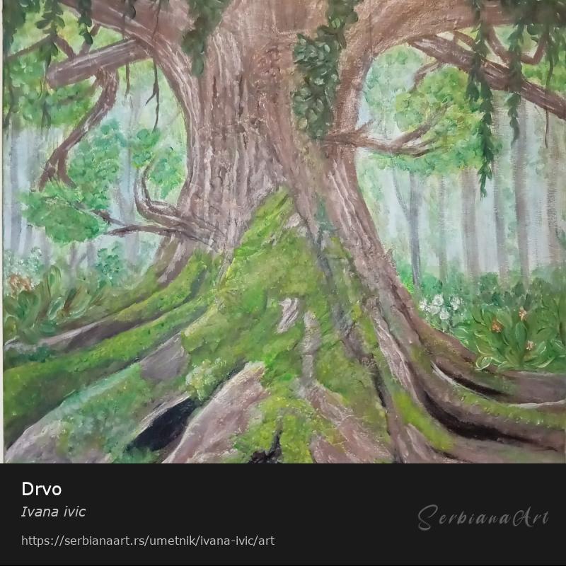 Drvo, Akrilik/Platno, Ivana ivic