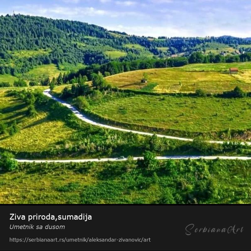 Ziva priroda,sumadija, Vodene boje/Platno, Umetnik sa dusom