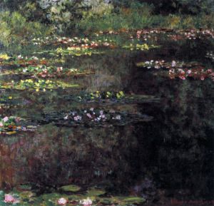 Water lilies, water landscape 5