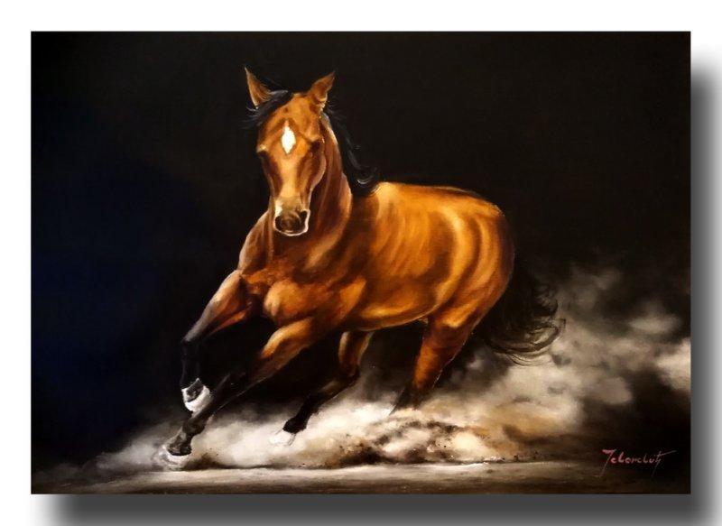 Galop, Slika Jovanović Milan