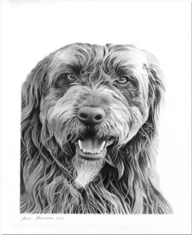 Portret Psa autor Momir Maksimovic
