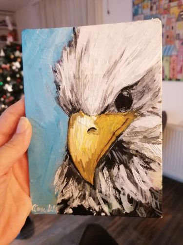 orao autor Sekulic Sanja