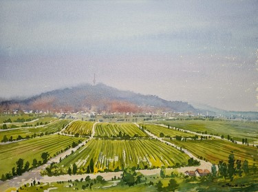 Fruška Gora, autor Ševo Dejan
