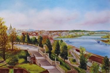 Beograd, autor Samardzija Olivera Olja