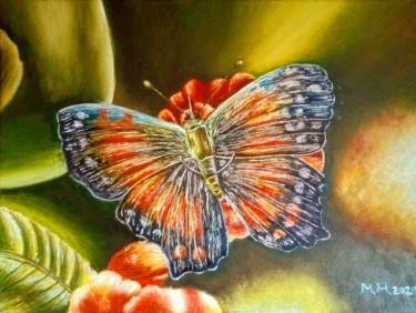 Leptir sareni, autor Marija Mitrovic