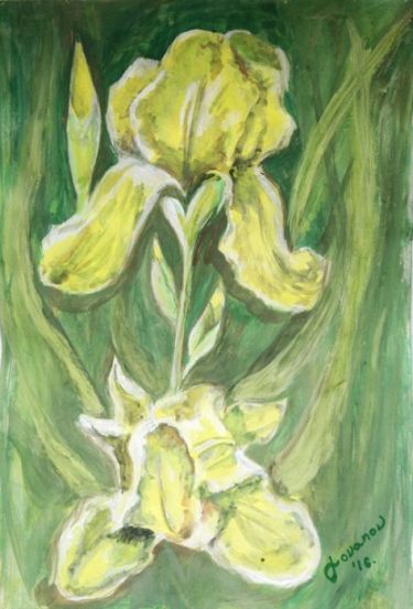 Iris autor Nataša J. Charivari