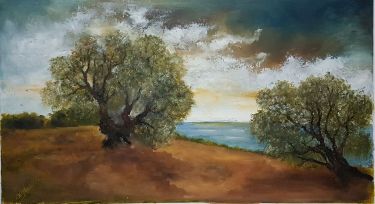 Stare masline, , autor Kamber Zora