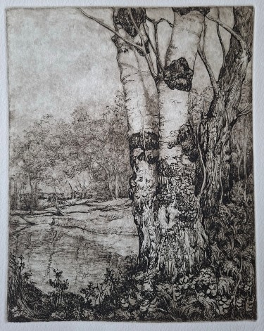Pek, autor Zeljko Ivanovic